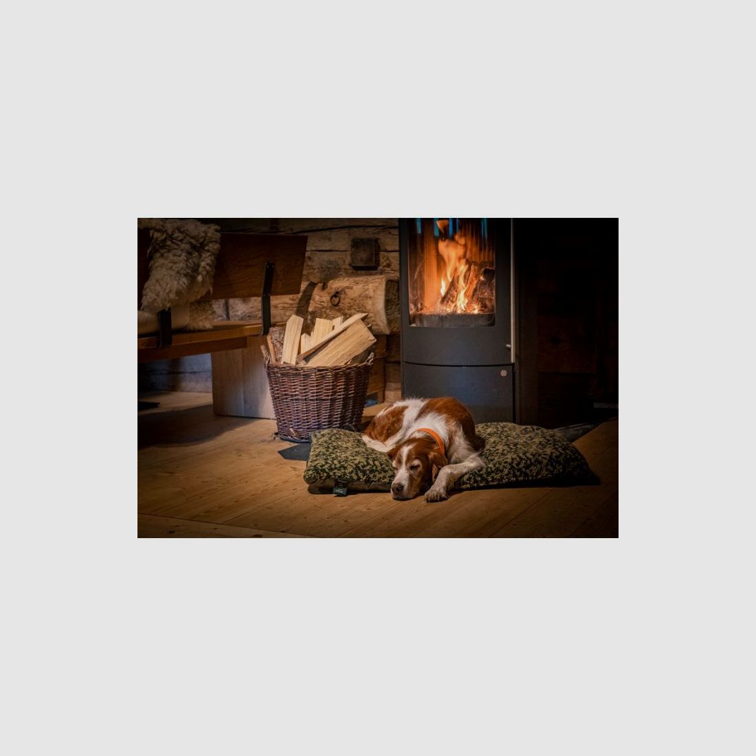 Kettner Thermo Dog Blanket camo 100x70cm, image 5 of 6