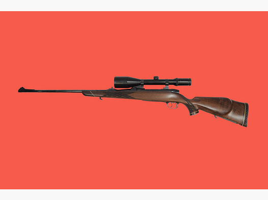 Sauer-Weatherby