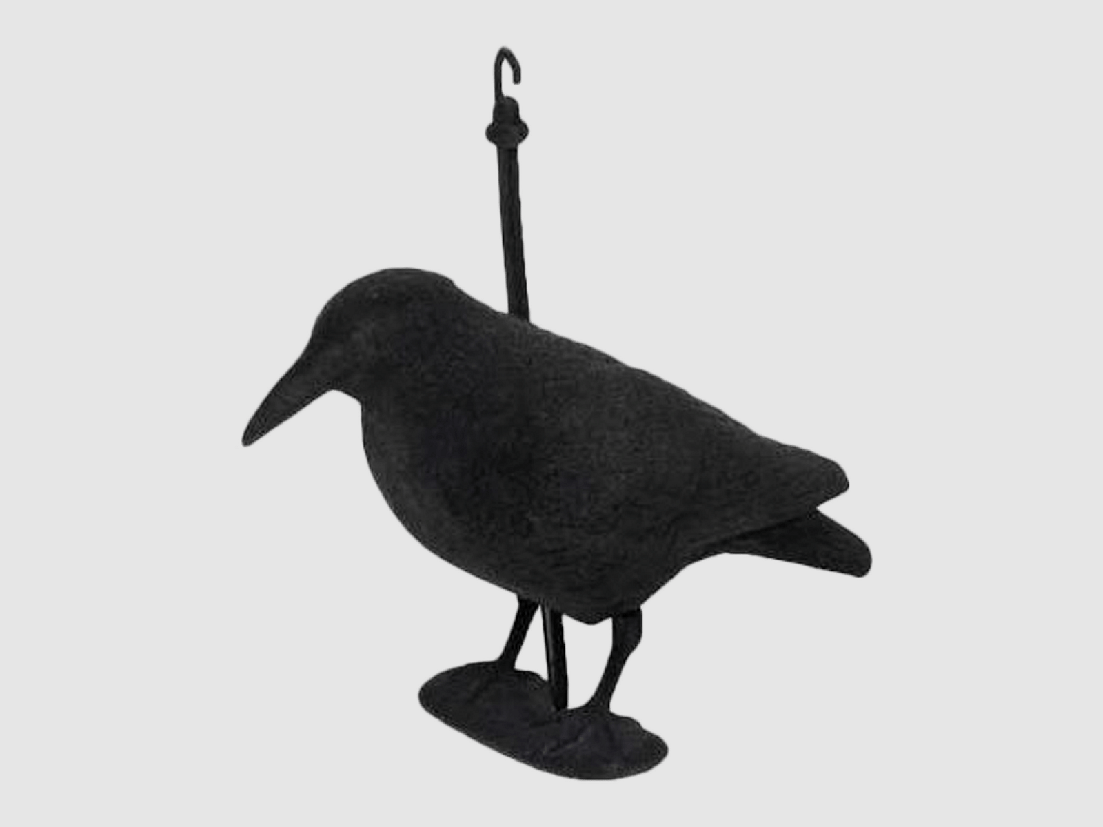 Krähe beflockt