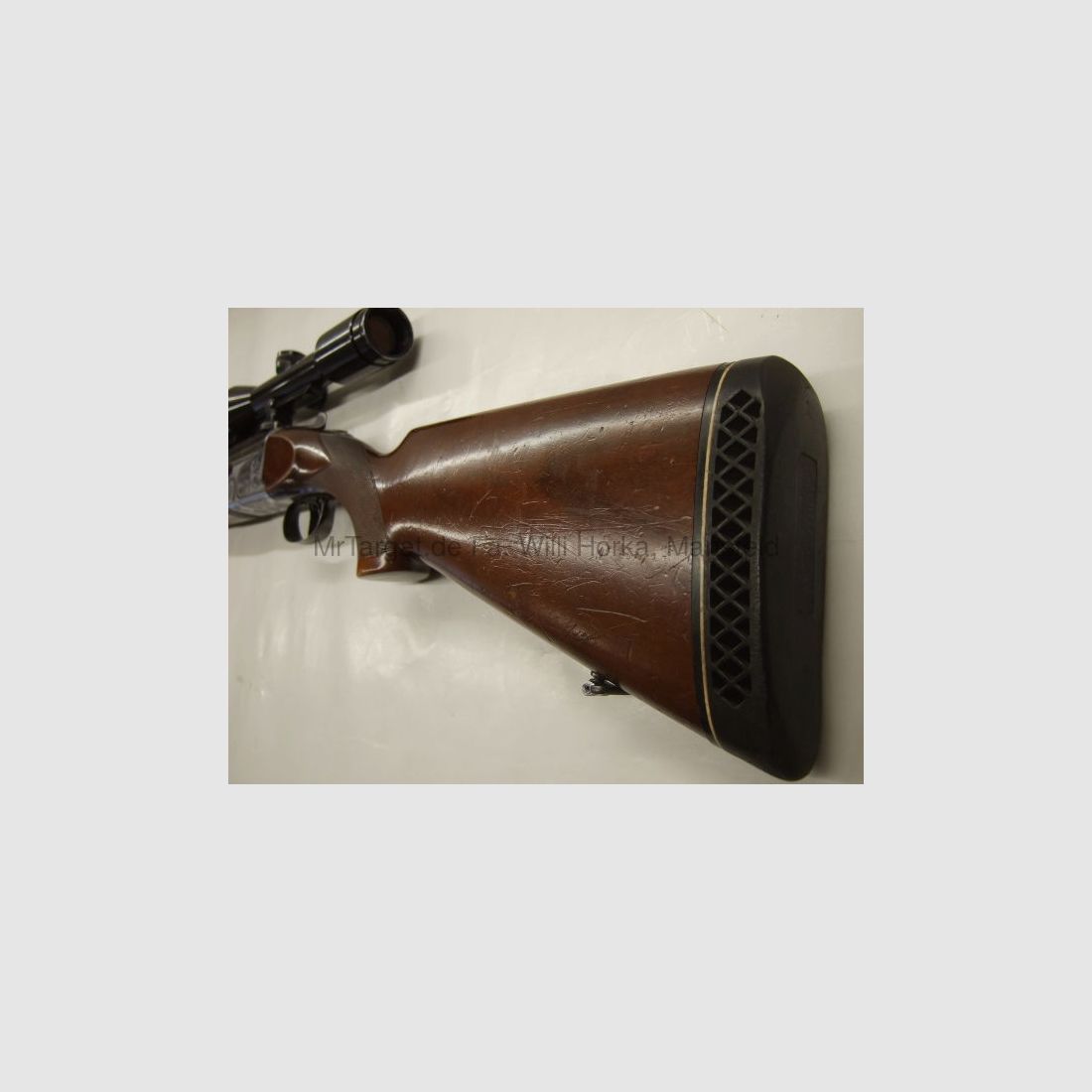 Sabattii avec ZF SWAROVSKI 6x42 réticule 1