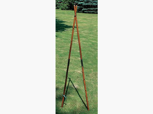Double target support