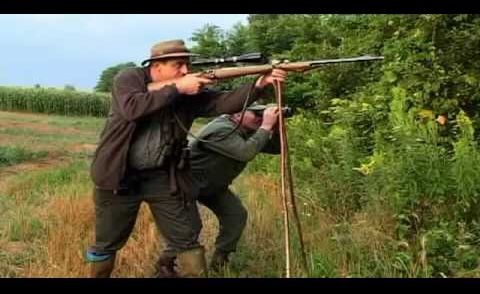 Roebuck Hunting in Dežanovac