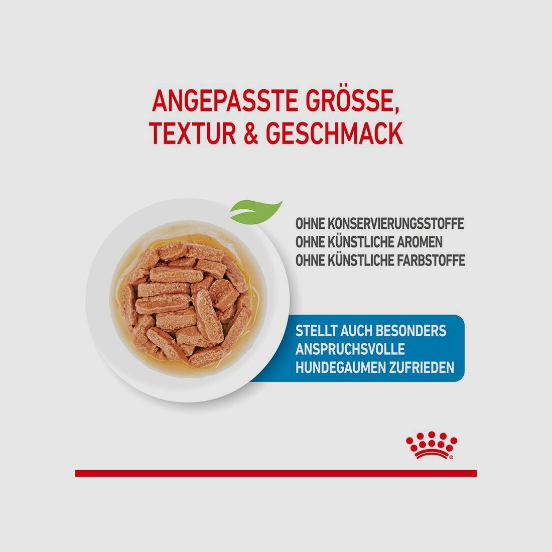 ROYAL CANIN Mittelgroße Hunde Nassfutter Welpen bis zum 12. Monat 10x140 g