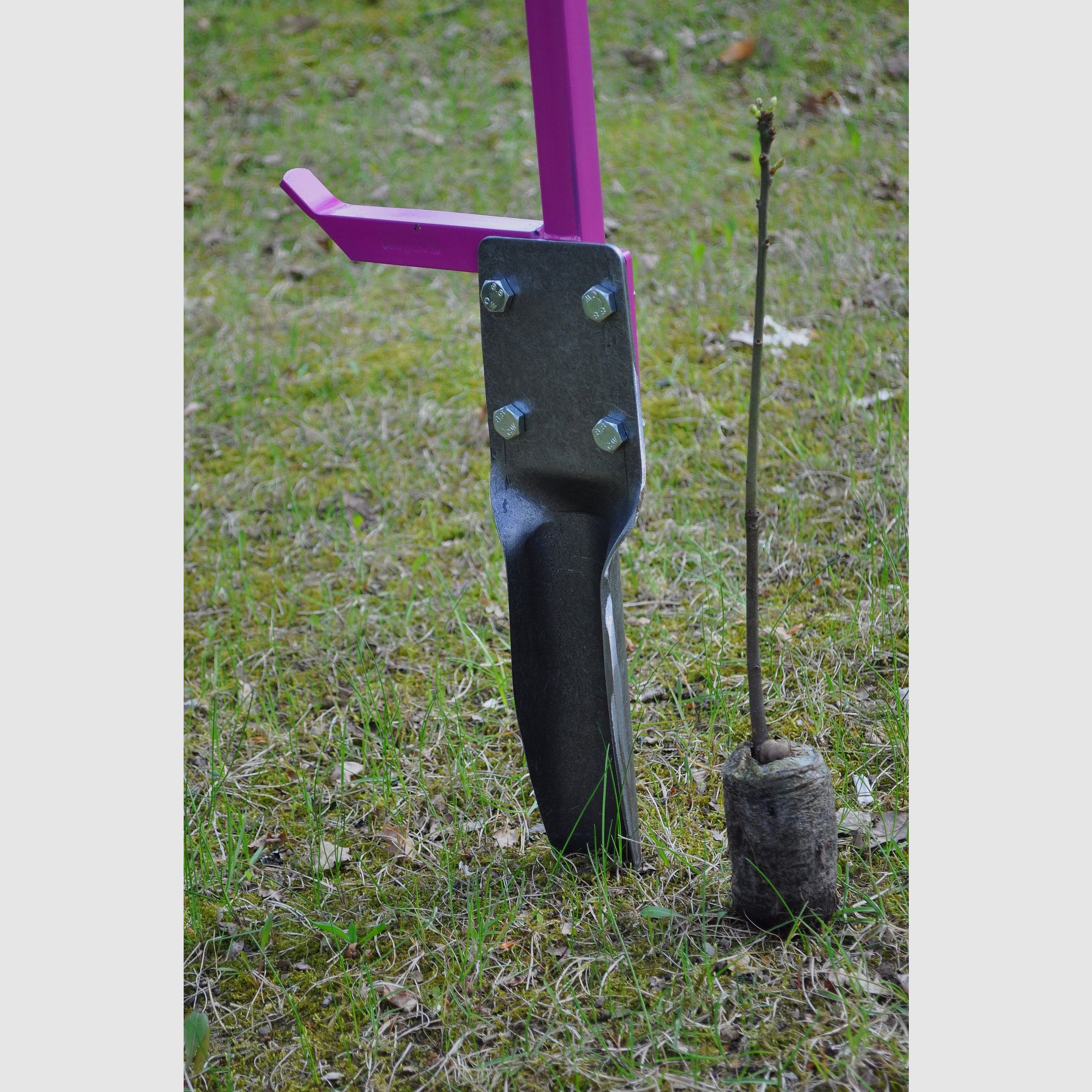 Cuchilla de repuesto para la plantación en contenedor