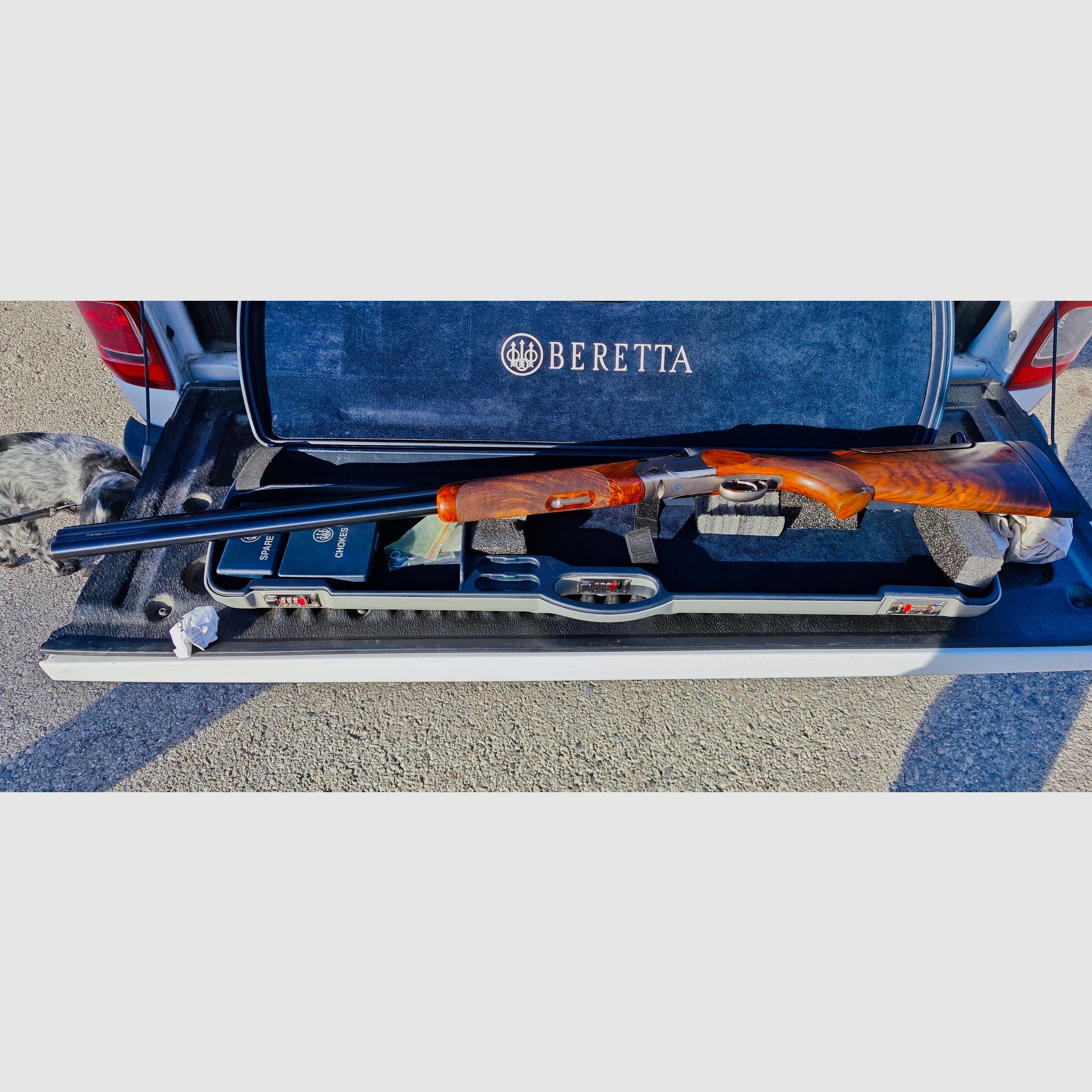 Beretta DT11 Sporting
