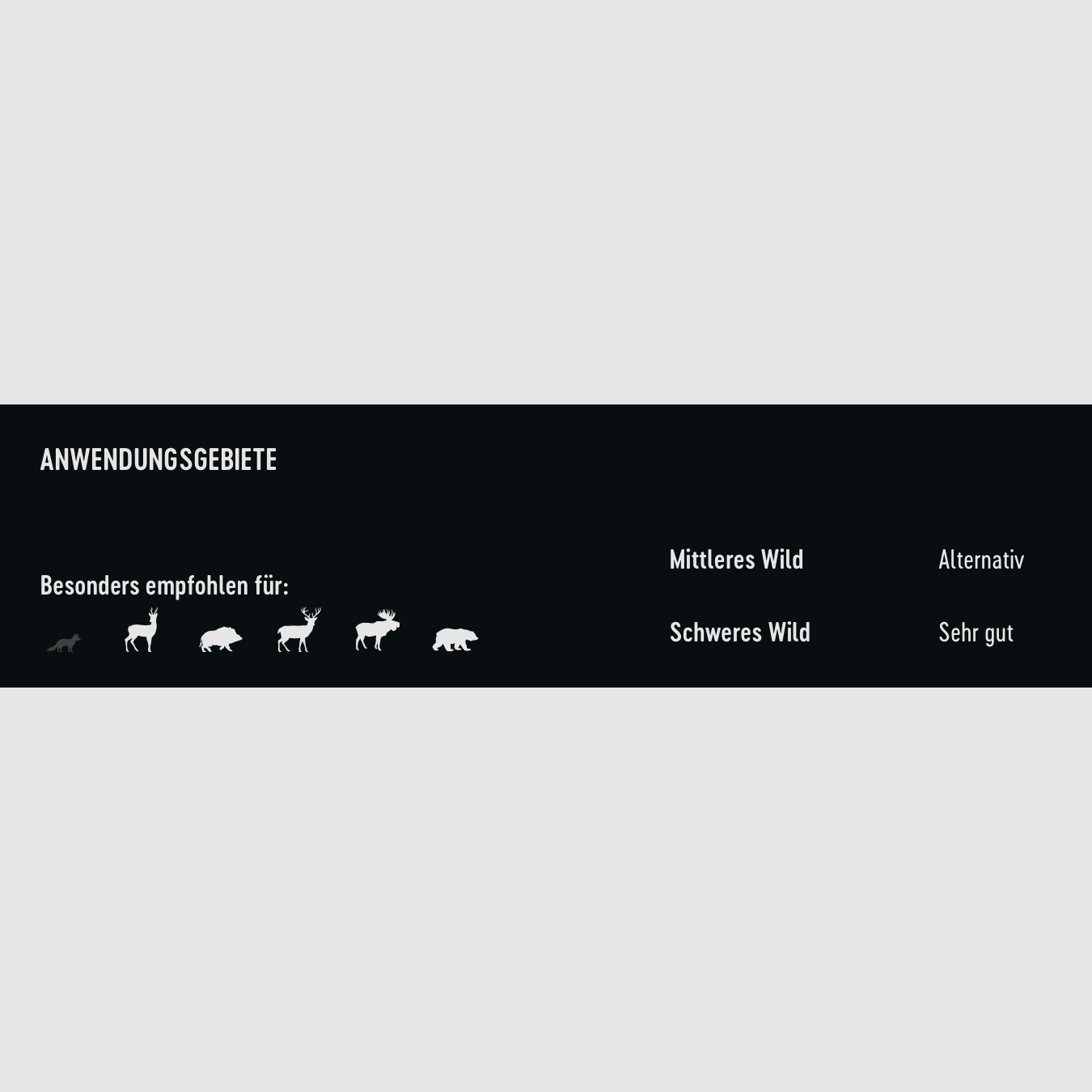 RWS 2430781 9,3x62 Driven Hunt Short Rifle 16,2g/250grs.