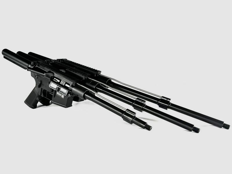 GERMAN TACTICAL SYSTEMS Naked AR15 mit 10,5 Zoll Lauf