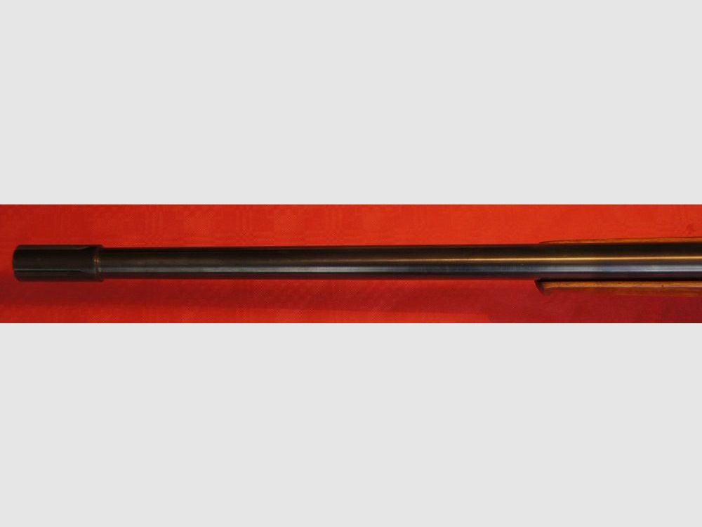 Wieser 98, Bild 8 von 9