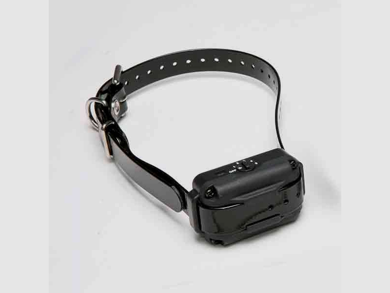 Zusatzhalsband für Dogtra E-fence