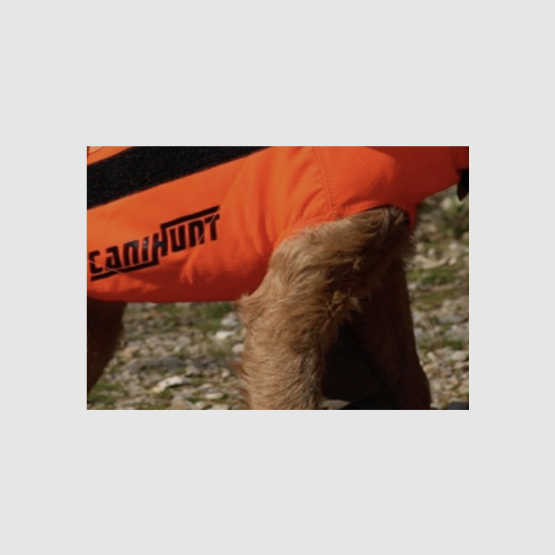 Protect dog ARMOR® V2, Bild 11 von 22