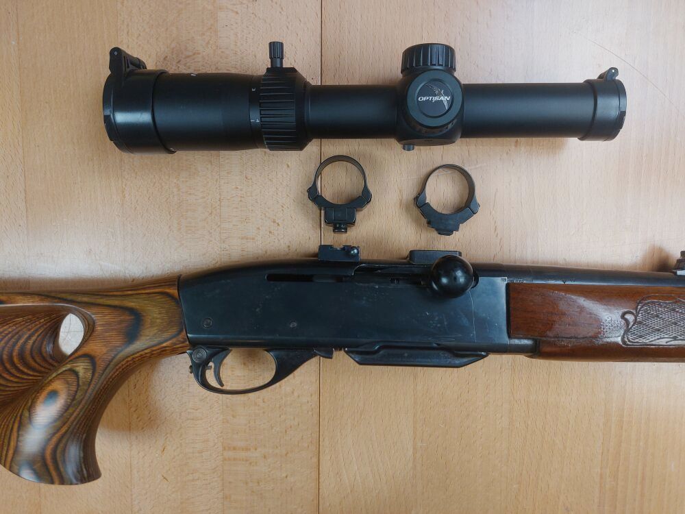 Remington, USA Modèle 742