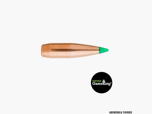 GESCHOSSE – SIERRA – 6MM .243 KAL 90 GR. TGK TIPPED GAMEKING -4100