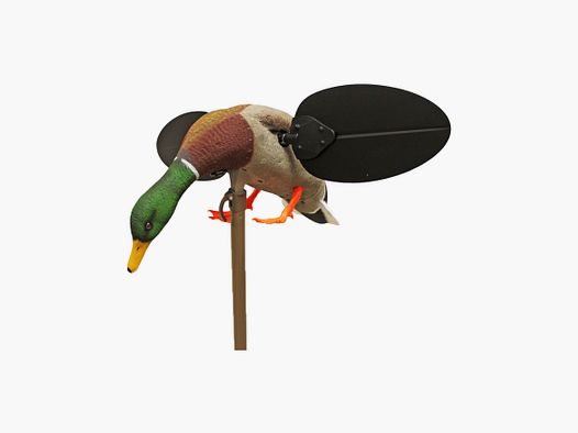 MOJO Mallard Drake UN3481