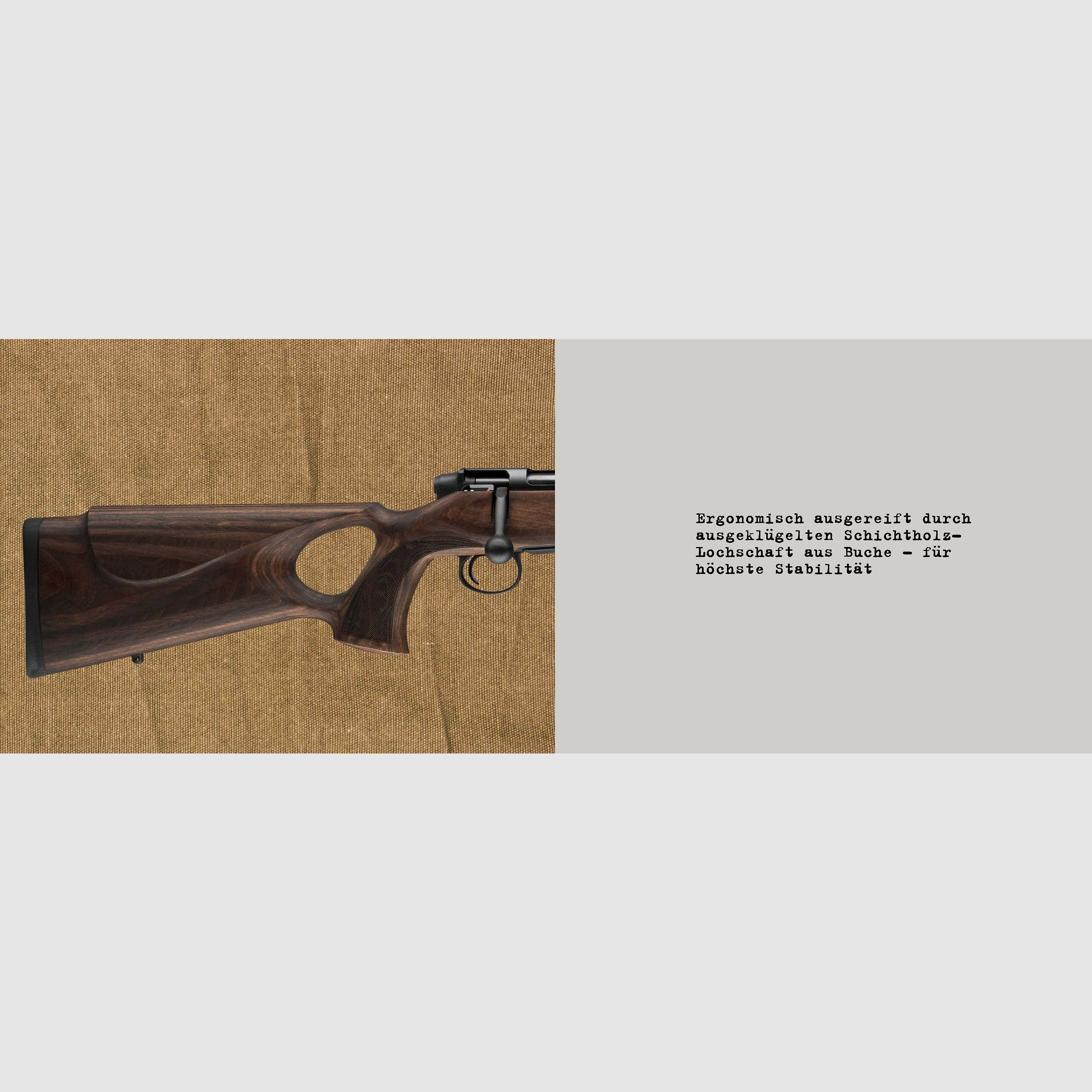 Carabine à répétition Mauser M18 Pure crosse en bois stratifié M15x1 filetage de bouche .308Win /51erLL