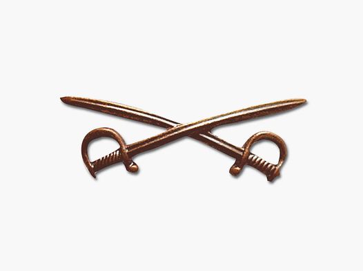 Insigne Fritzsch Bw Sabres croisés