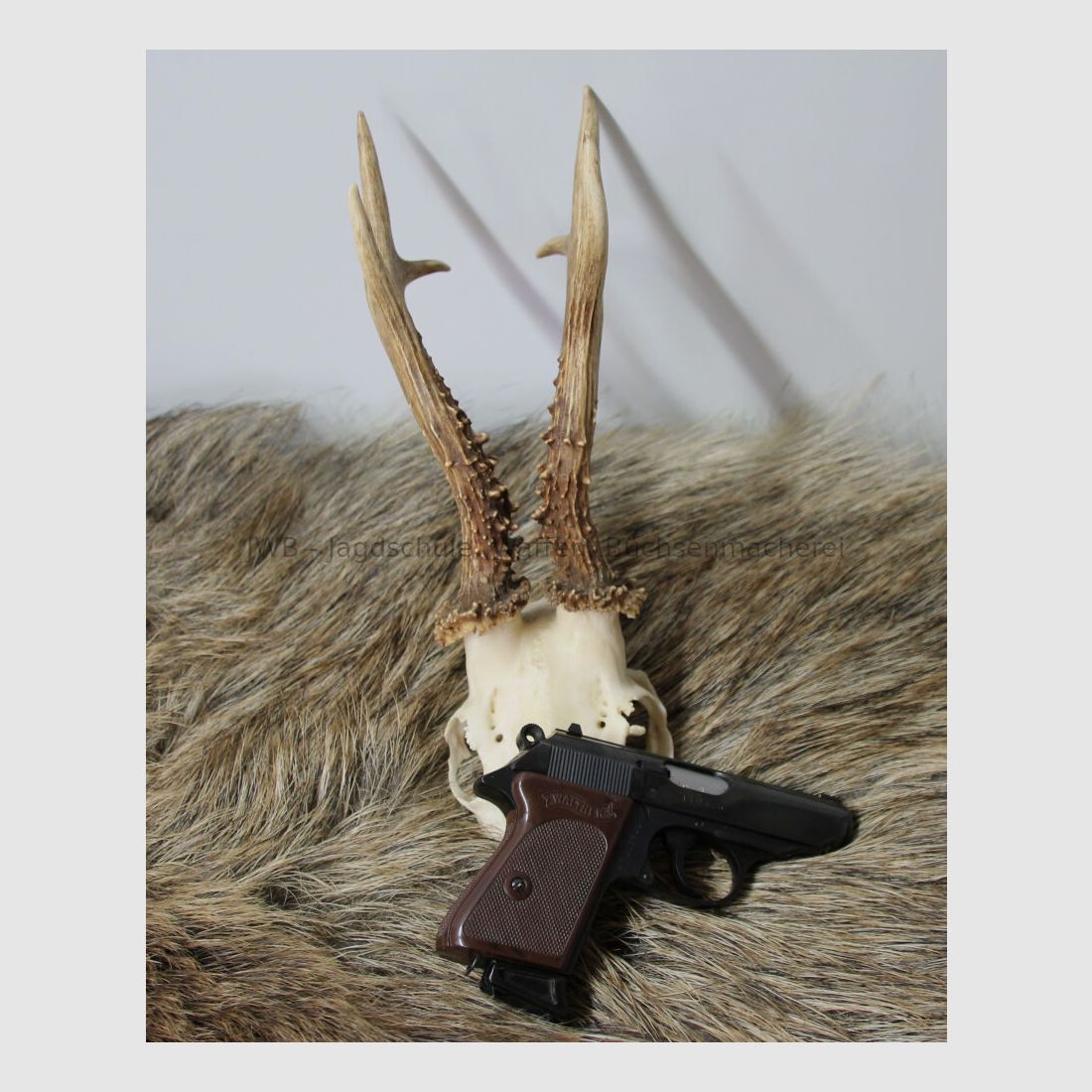 Walther PPK Kaliber .22 lr