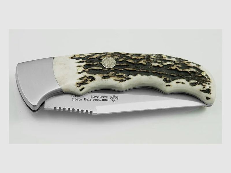 PUMA IP marmota, stag