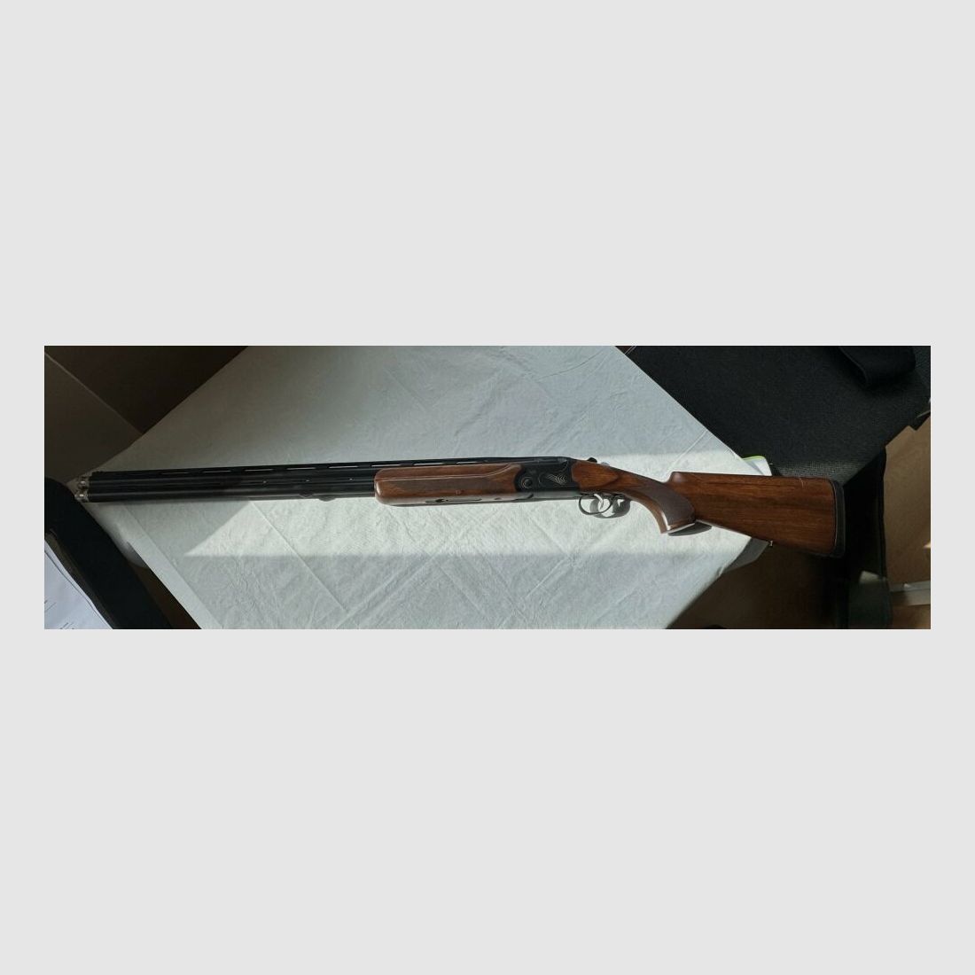 Kofs Kofs Zenith Sporting