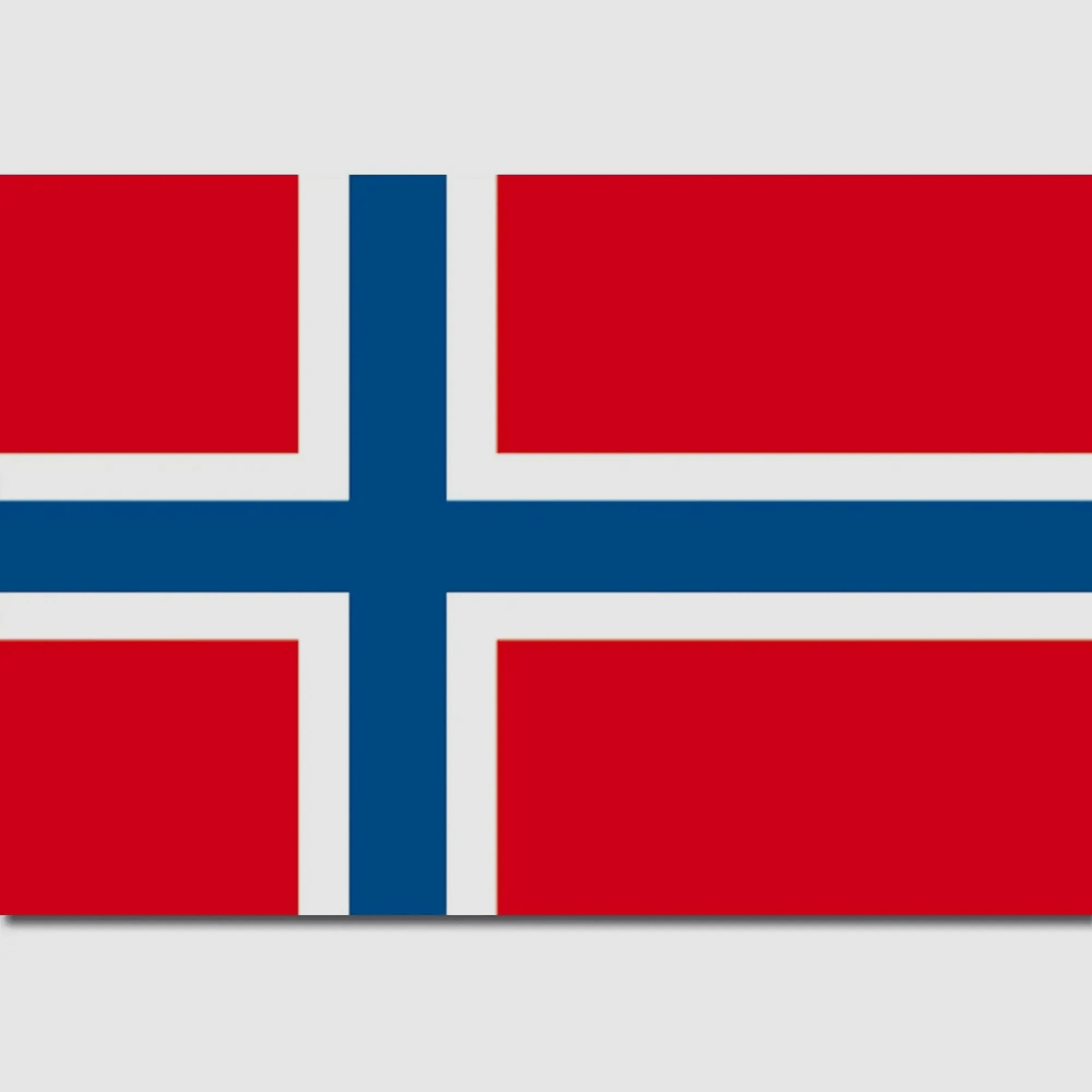 Diverse Flagge Norwegen
