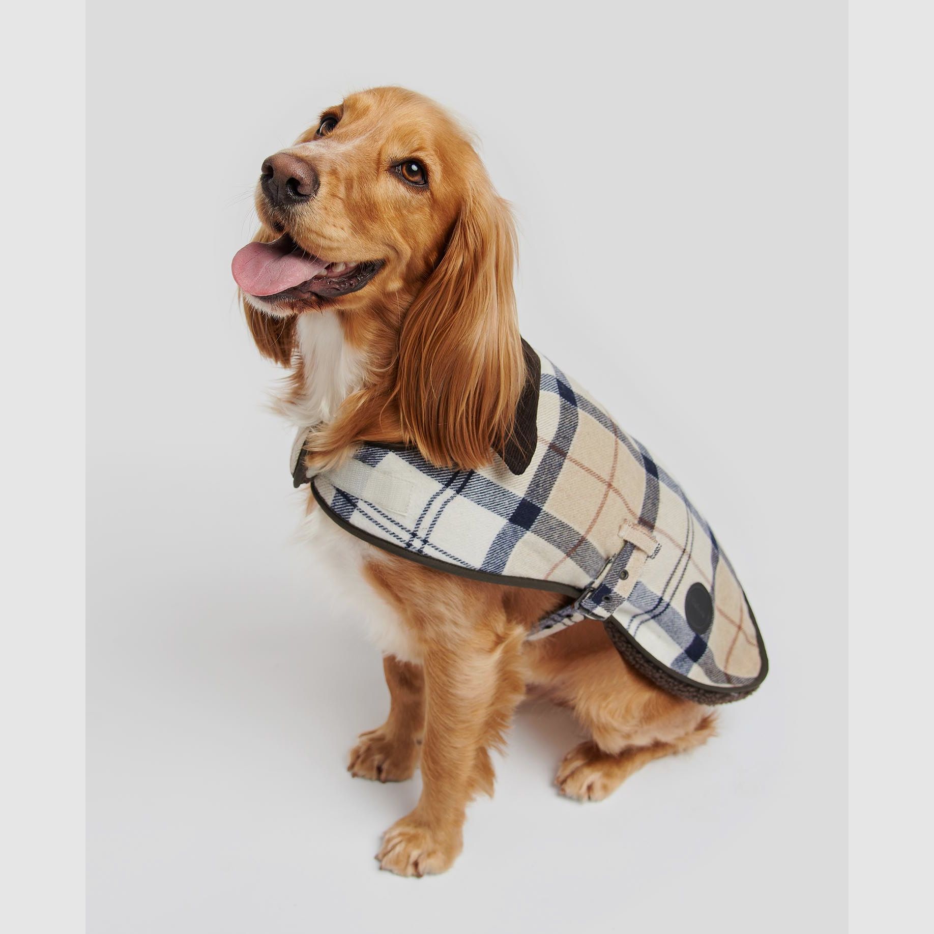 Barbour Manteau pour Chien Wool Touch