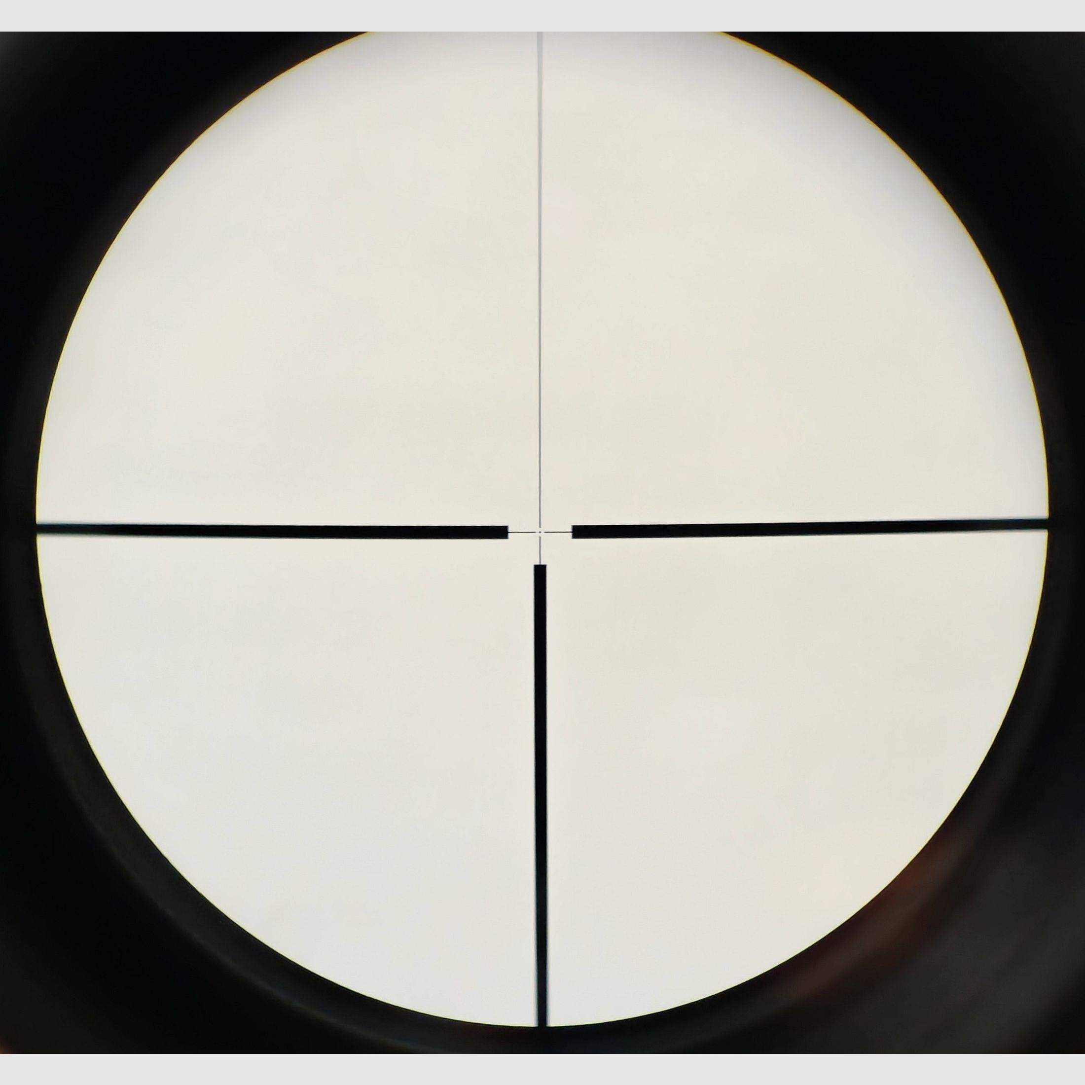 Sauer & Sohn 54 .30R Blaser mit Swarovski Glas