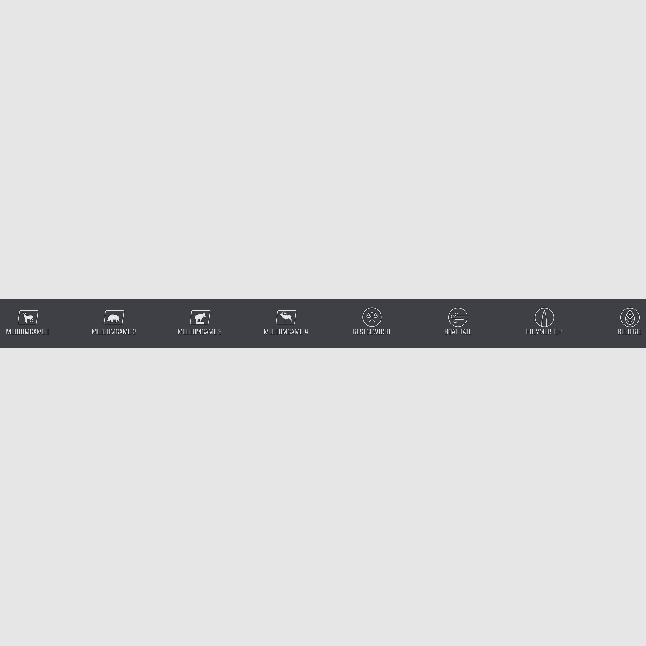 Norma Ecostrike .30-06 Spring 9,7g 150 gr loodvrij geweermunitie