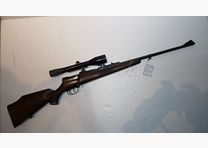 Mauser M 66