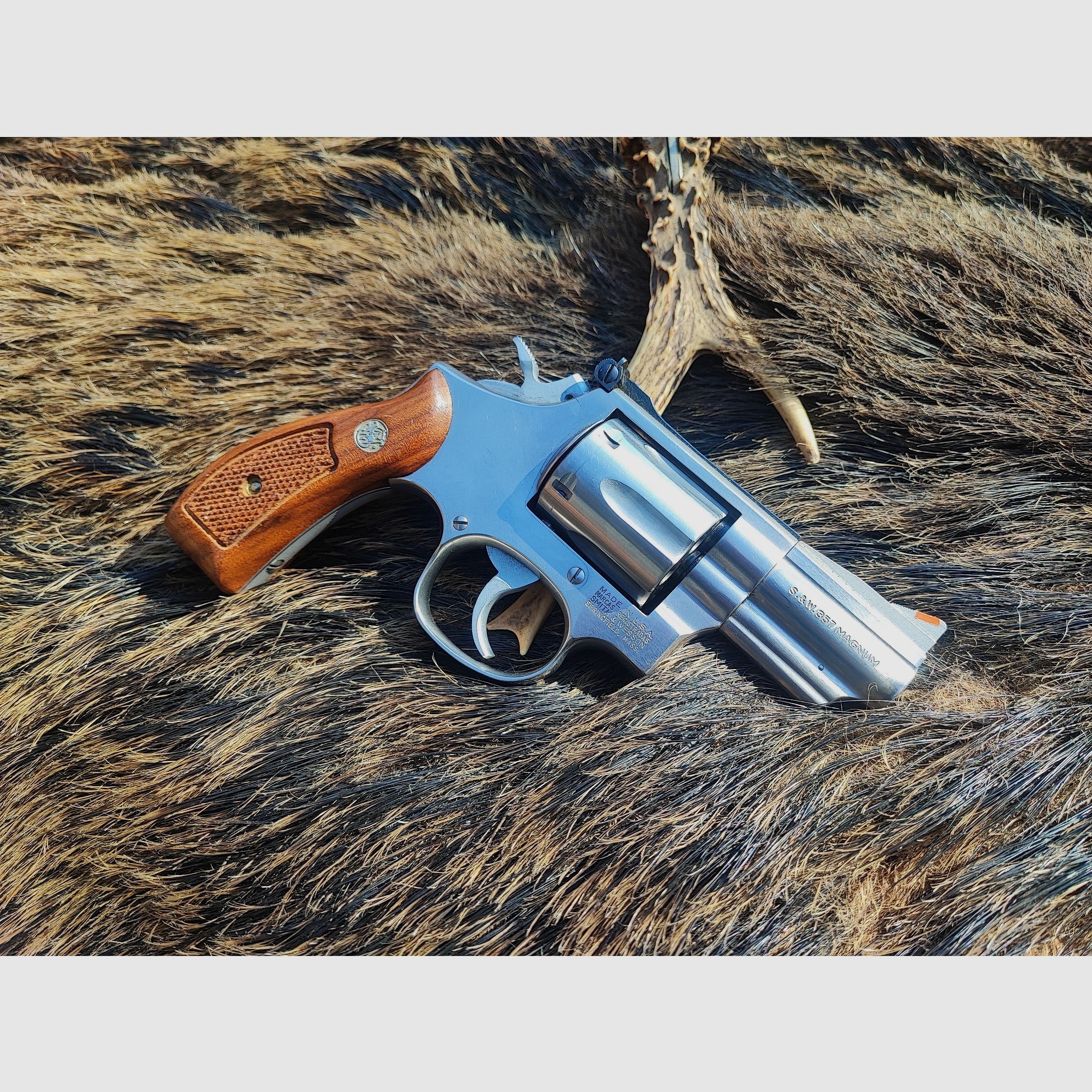 Smith & Wesson 686