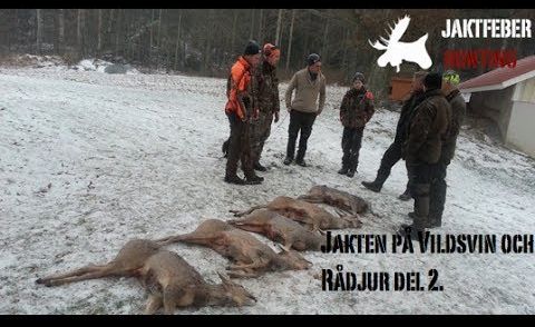 JAKTFEBER Jakten på Vildsvin och Rådjur del 2