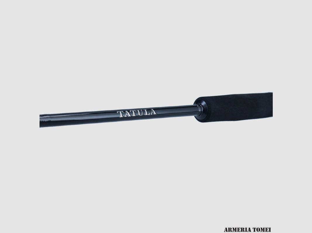 DAIWA – TATULA XT 701MHFS 7′ 0″ MH Ködergewicht 1/4-3/4oz 7-21g Schnur 8-17lb 4-8kg, Bild 5 von 7