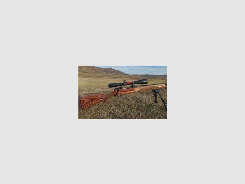 Rifle Weatherby Mod. Vanguard Cal. 308 Win Laminate Sporter + Visor 4-12x40mm Brushline, imagen 1 de 10