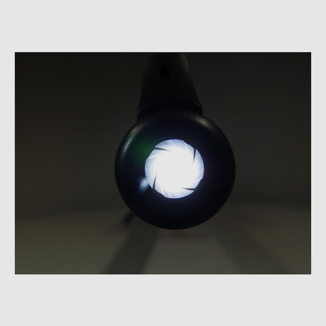 Sauer & Sohn 303 Syncro XT mit Swarovski Z6i