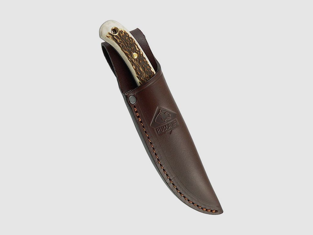 Jagdmesser Puma IP Catamount Stag, Stahl 440 C, Hirschhorn, Lederscheide (P18)