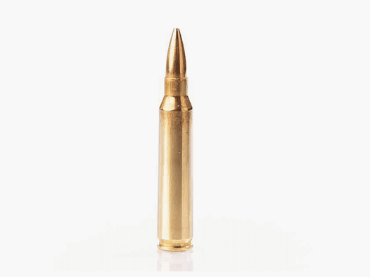 Cartucce Fiocchi classic .223 Rem – 55 grs – FMJ (10 SCATOLE)