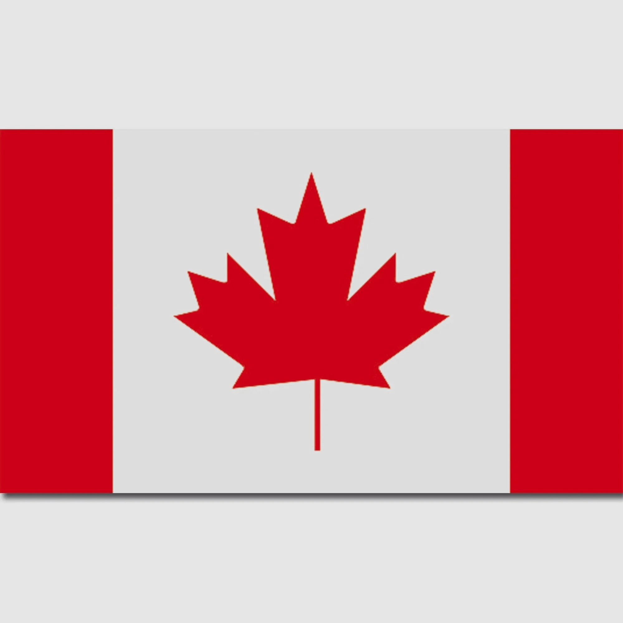 Diverse Flagge Kanada