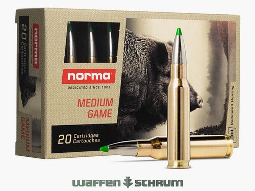 Norma Ecostrike 10,7g - 165gr .308Win