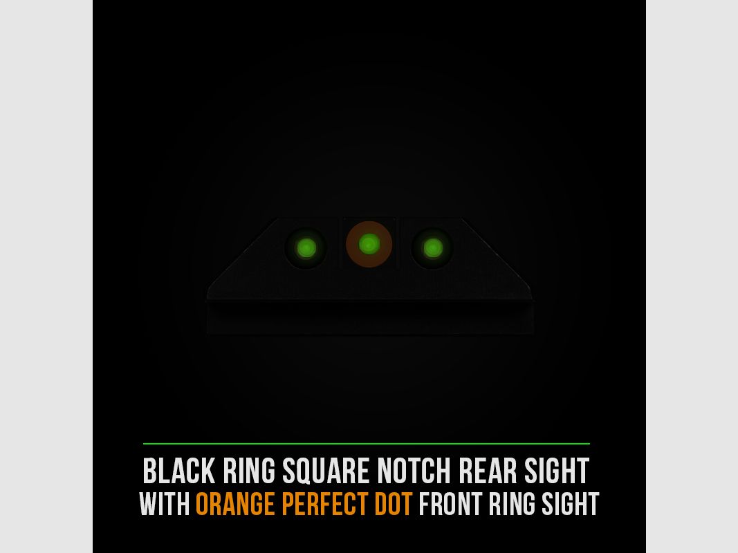 NIGHT FISION Sig Sauer P365 Stealth Tritium Sight 240-238 OB, Bild 5 von 5