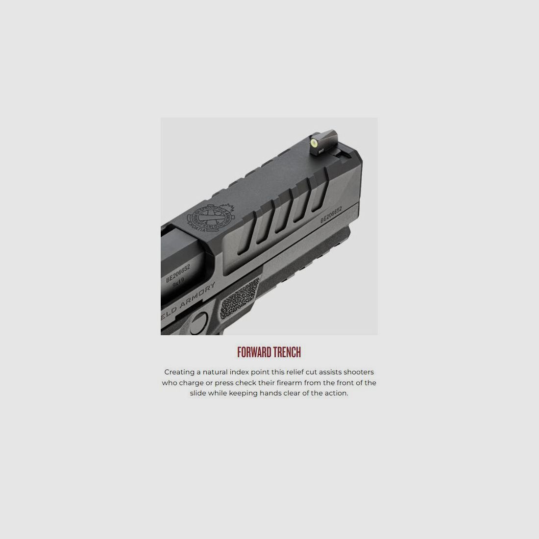 Springfield Echelon 4,5 U-Notch, immagine 7 di 8