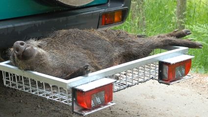 Heck Pack - Heckträger - und das Auto bleibt sauber! 