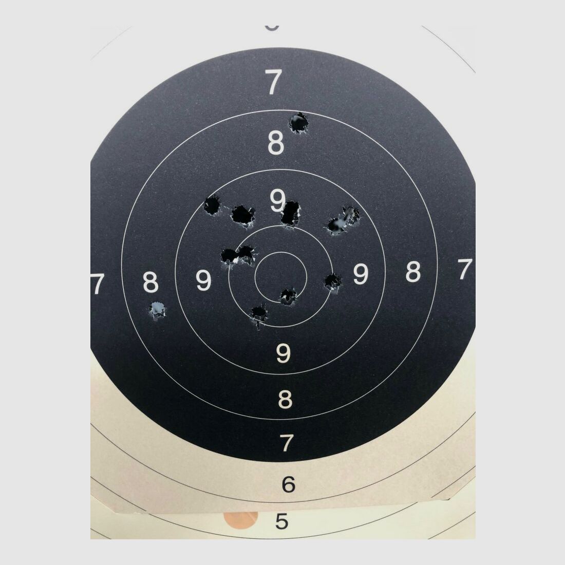 Schmeisser mit Optik Falke SL Büchse AR15-9 Sport 10,5"