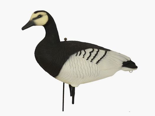 Prodecoys Brandgans-Lockvögel, 12 Stk., Full Body