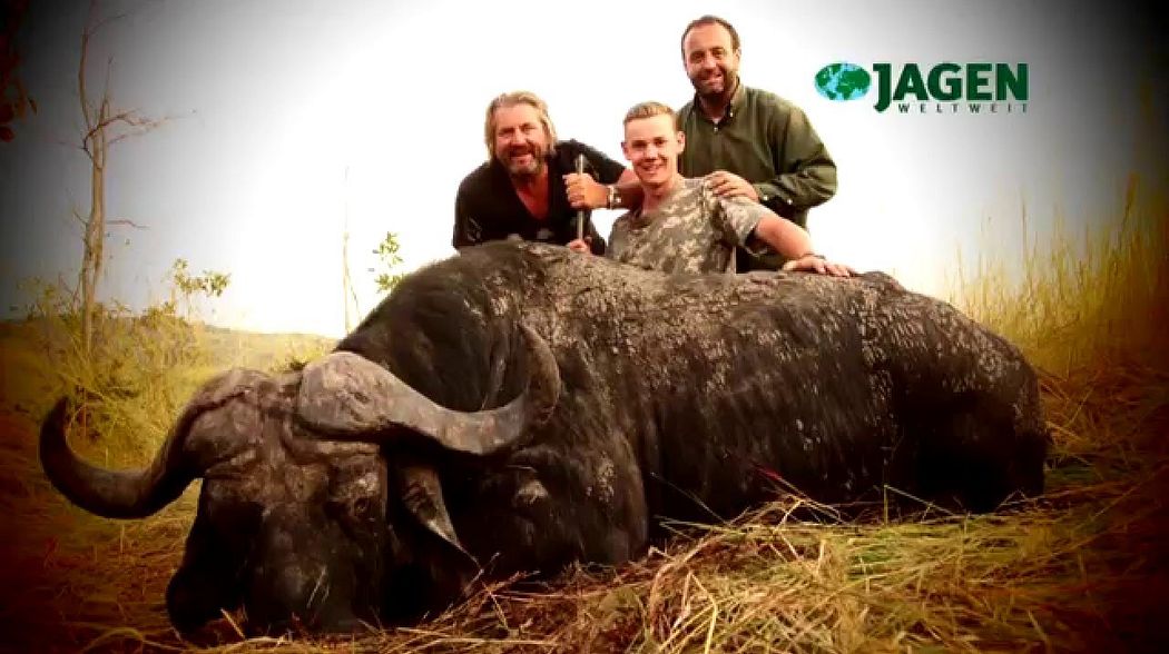 Trailer JWW43 - Faszination Büffel