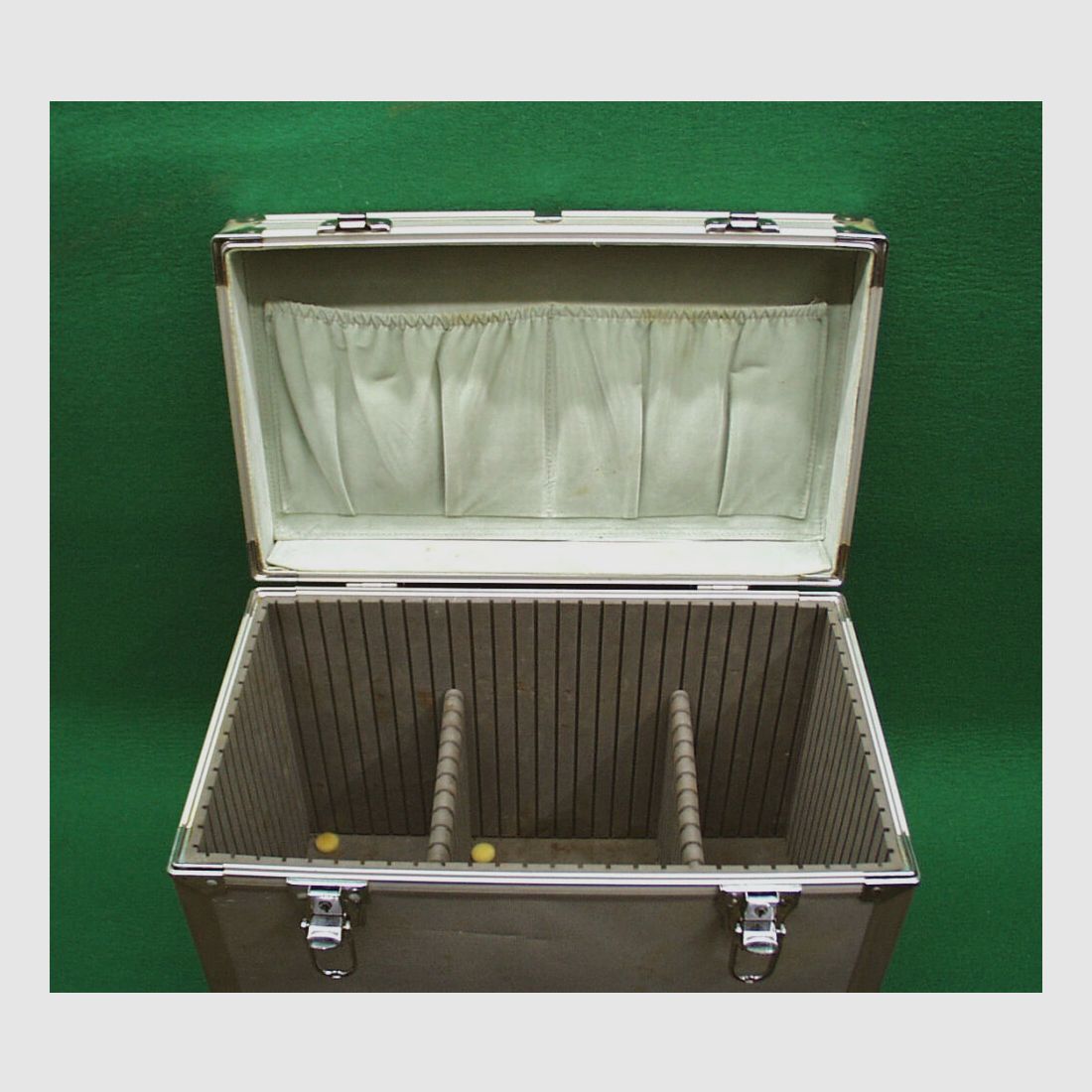 **** Pistol case