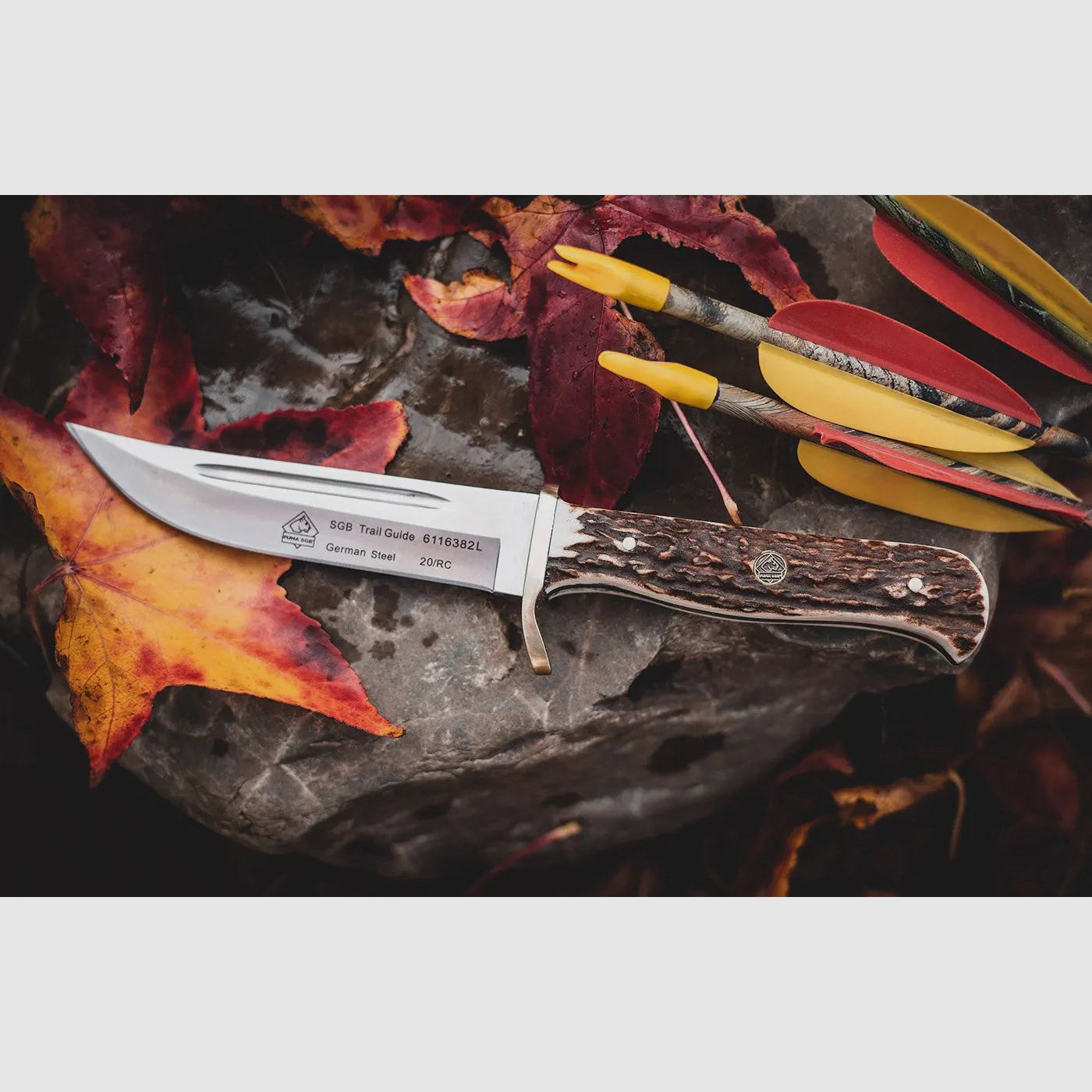 PUMA SGB trail guide, Stag