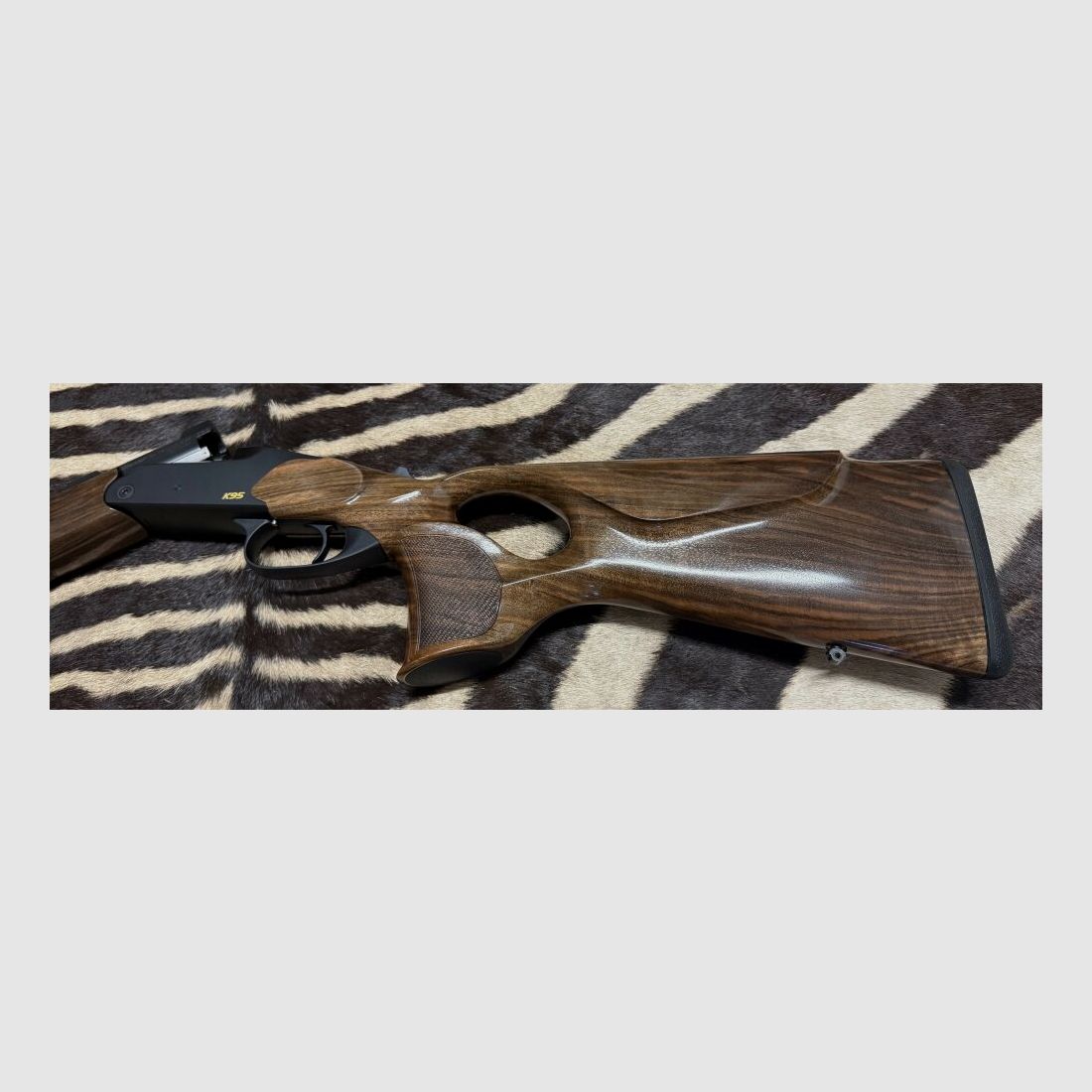 Blaser K95 Success