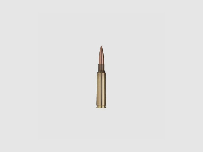 GECO 6.5x55 SE TARGET HP 8.4g/130gr