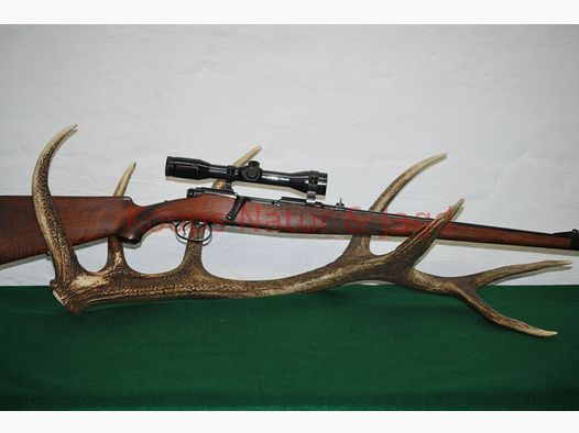 Steyr Mannlicher Schoenauer GK