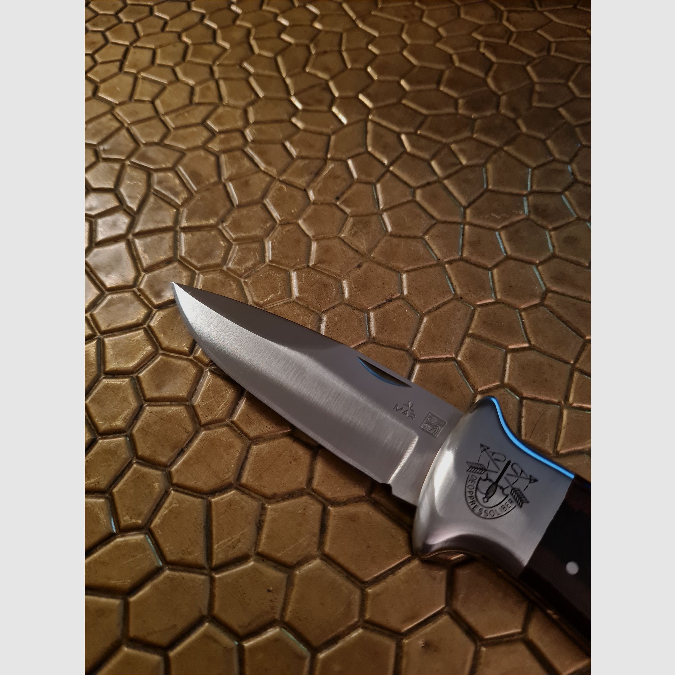 TO THE SEA S.E.R.E. "To Free the Oppressed