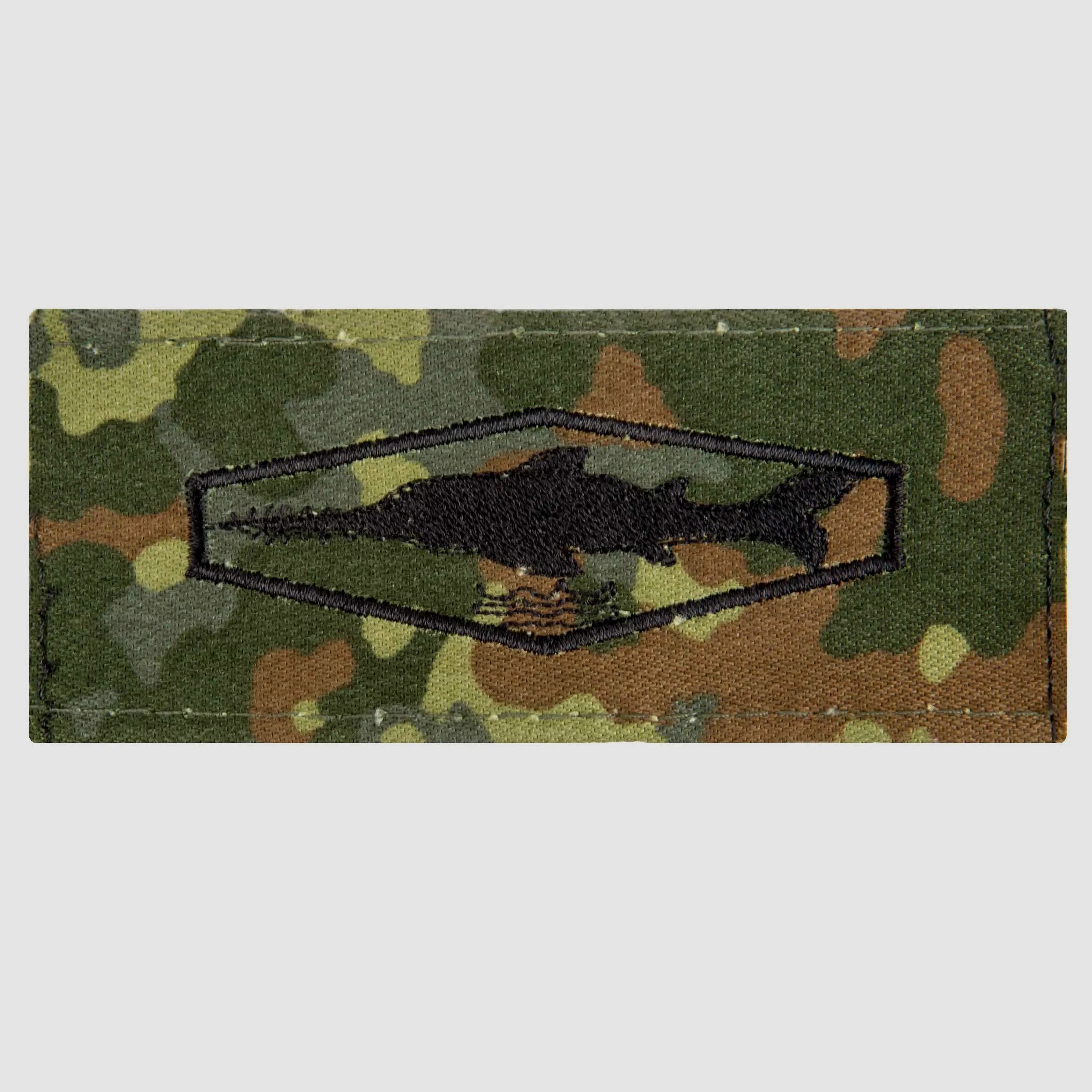 Fritzsch Abz. BW Tätigkeit Schwimmtaucher