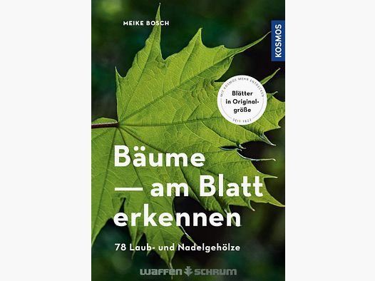 Kosmos Bäume am Blatt erkennen Meike Bosch